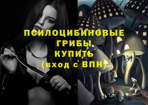 МДПВ Армянск