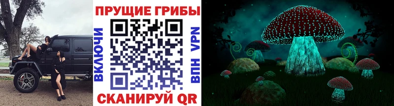 Галлюциногенные грибы ЛСД Нязепетровск